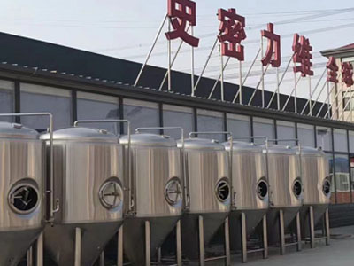 甘南精酿啤酒设备厂—如何判断精酿啤酒设备的密封件需要更换？